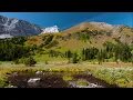 Nature Walk w/ Steve Roach - Where I Live