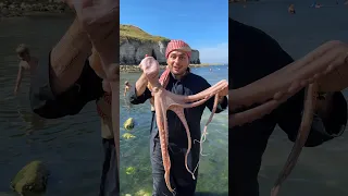 كيف أنا طبخت الأخطبوط العملاق على طريقتي  كيف أنا طبخت الأخطبوط العملاق على طريقتي