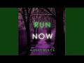 Chapter 67 - Run Now A Serena Knox Suspense Thriller Book Six