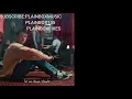 Download Lagu ALEC BENJAMIN-LET ME DOWN SLOWLY (LOW PITCH VERSION)