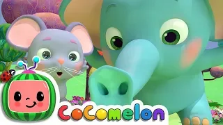 The Sneezing Song CoComelon Nursery Rhymes Kids Songs 