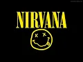 Nirvana - You know you're right (live)