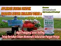Download Lagu Suara Untuk Dagang Sayur Keliling Versi 2 | Lebih Ajib