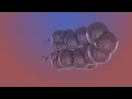 Ben Wade Clone Wars wonderland Visualization Trapcode Tao