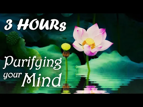 Download MP3 THIS MUSIC WILL PURIFY YOUR MIND ⭐ Yoji Water Purification ⭐ Buddhist Meditation Music, Buddha Music
