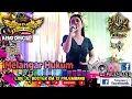 Download Lagu MELANGAR HUKUM !!! OT MANDALA HOUSE MUSIC || LIVE JLN BOSTER KM 12 PALEMBANG