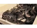 Pond Management-Pond Stocking