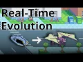 Real-Time Monster Evolution Devlog Re-Upload