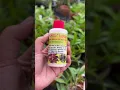 Download Lagu Yuk bund simak tips agar daun anggrek bunda bunda mengkilap🥰 #orchid #anggrek #anggrekcantik