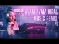 Download Lagu DJ PAMBISILET SLOW BET VIRAL TIKTOK TERBARU DJ AYAM AYAM VIRAL TIKTOK TERBARU 2023