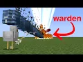 Coding a Chicken to Beat the Warden