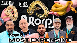 Top 5 MOST Expensive Ball Pythons At The SouthEast Reptile Expo