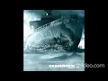 Rammstein - Rosenrot (Side A) Unofficial Reliese