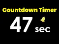 47 second Countdown Timer with Alarm