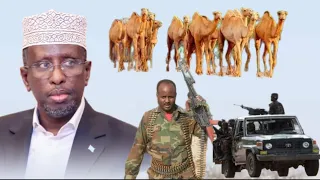 deg deg ciidamada beesha harti abgaal oo hub iyo xoolo isugu daray shekh shariif militari muqdisho