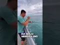Lagu mancing ikan besar di pelabuhan