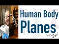 Human Body Planes - How to Identify Frontal Sagittal and Transverse