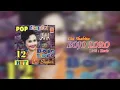 Download Lagu Cici Shahita - Bojo Loro