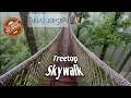 Anakeesta Treetop Skywalk
