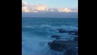 انسان مخيف رضا البحراوى حالات واتس 