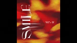 steve chris venes smile militzz dj edit