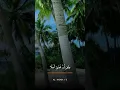 Download Lagu Surah Al-an'am ayat 1-3