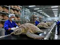 Lagu FULL PROCESS | Inside the Turtle Shell Factory – From Raw Shell to Luxury Fashion
