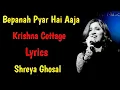 Download Lagu Bepanah Pyar Hai Aaja Song Lyrics | Shreya Ghosal |Suna Suna Lamha | Romantic Song