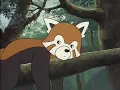 Download Lagu The Jungle Book Hindi Episode 06 | Pappu is Alone