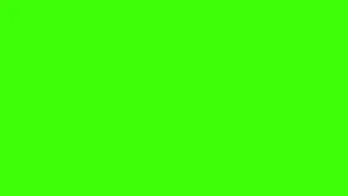 random color generator 20 minutes white blue red yellow green