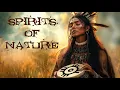 Download Lagu GEESTEN VAN DE NATUUR 🦅 sjamanistisch drummen 🐻 spirituele tribale muziek 🦅 shaya-meditaties