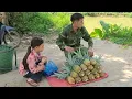Download Lagu Harvest pineapples to sell to villagers and take care of Thu's pets.