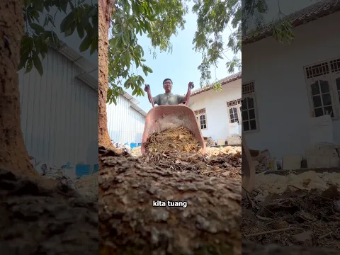 HADIAH DARI AYAM ππ Edisi Pete Menul-Menul