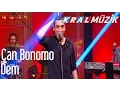 Download Lagu Can Bonomo - Dem Kral Pop Akustik