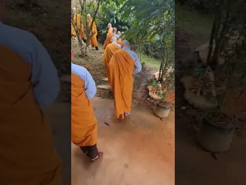 Tham gia khóa tu xuất gia gieo duyên! # #buddha #xuatgia #xuatgiagieoduyen