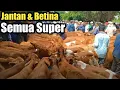 Download Lagu 7JUTA DAPAT PHEDET!! SEMUA SUPER BINGUNG MEMILIHNYA
