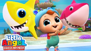 baby shark duu duu lagu anak bayi hiu little angel bahasa indonesia