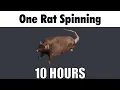 Download Lagu [4K] One Rat Spinning to the Free Bird Solo 10 HOURS (FIXED)