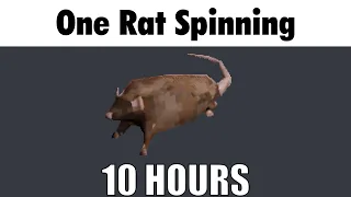 4K One Rat Spinning To The Free Bird Solo 10 HOURS FIXED 