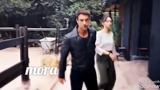 فرحات واصلي   مش سهله تامرعاشور دندنها