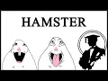 Hamster Reaction Images Are Insane