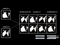 Evolutionary Model on Java - Natural Selection Part One