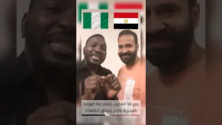 مصري نيجيري المصري لما يتعلم لغة الهوسا النيجيرية 