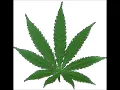 Buju Banton & Beenie Man - Weed Medley (Live) - Penthouse - Freedom Blues Riddim