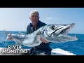 Download Lagu The BIGGEST FISH caught in Season 8 of River Monsters