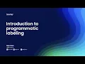 Programmatic Labeling Better AI Faster and Cheaper