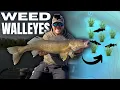 Finding BIG Walleyes in the Weeds - THE HIT LIST EP 2