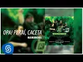 Raimundos - Opa! Peraí, Caceta (Acústico) [Áudio Oficial]