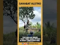 Download Lagu Mahasiswi ini minta sebatang tebu, tapi malah dikasi 1 ikat tebu sama petani di desa tempatnya kkn.