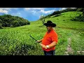 Download Lagu Sítio 5 alqueires Pastagem, Frutíferas e Nascentes em Sete Barras, SP R$: 330 mil Willian Ricardo